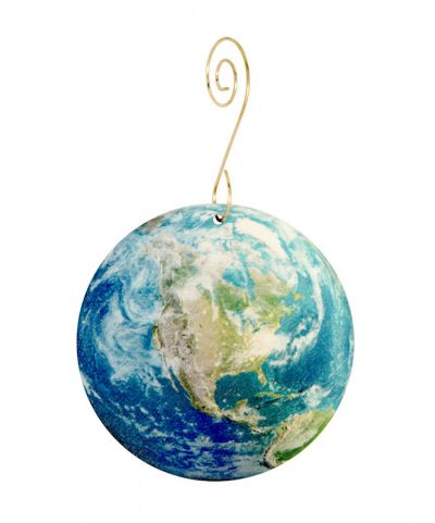 Birch Mapped Earth Orn